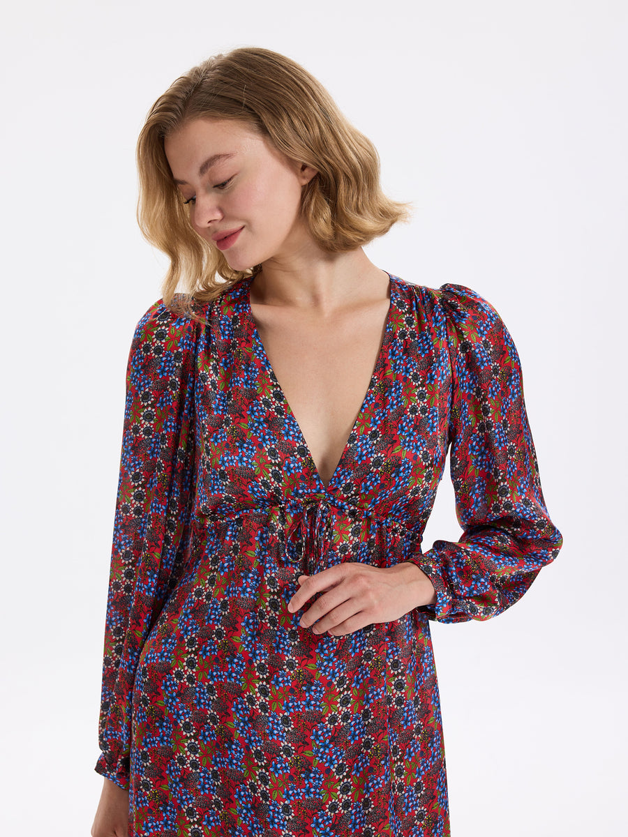 Chereth Silk Dress